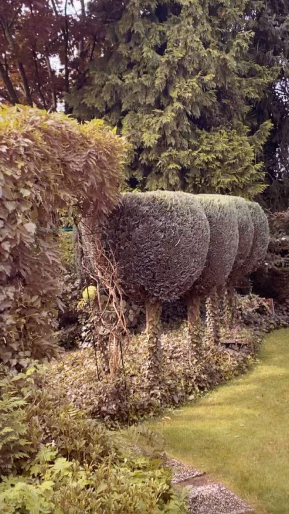 474552508_122209064030218142_7948561492929090943_n